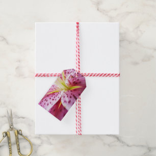 Etiqueta Para Presente Stargazer Lily Bright Magenta Floral