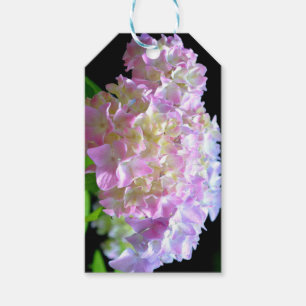 Etiqueta Para Presente Sussurro da manhã - Hydrangeas