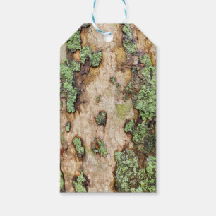 Etiqueta Para Presente Sycamore Tree Latido Moss Lichen