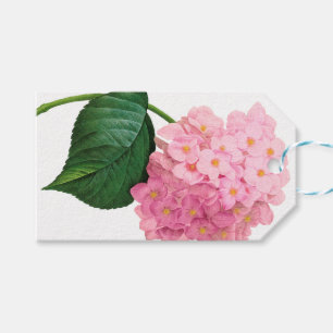Etiqueta Para Presente Tag cor-de-rosa do presente do Hydrangea