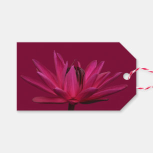 Etiqueta Para Presente Tag cor-de-rosa do presente do lírio de água de