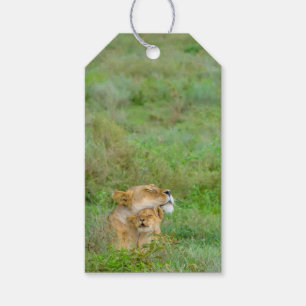 Etiqueta Para Presente Tag da leoa do amor de mãe & do presente do bebê