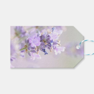 Etiqueta Para Presente Tag fotográfico do presente de Bokeh da lavanda