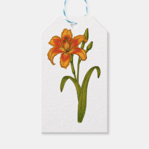 Etiqueta Para Presente Tawny Daylily