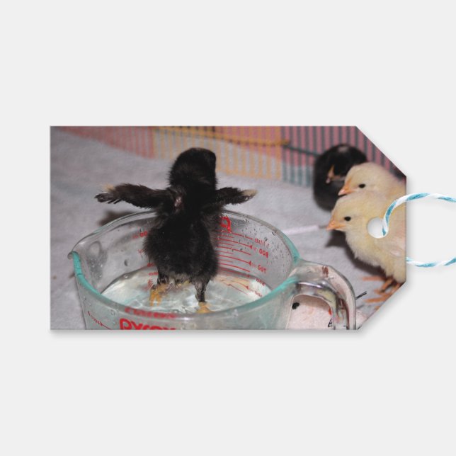 Etiqueta Para Presente Tempo de banho (Frente (horizontal))