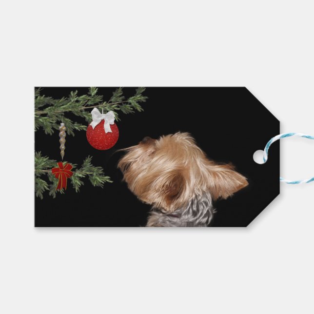 Etiqueta Para Presente Tempted Yorkie Christmas (Frente (horizontal))