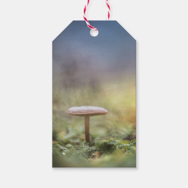 Etiqueta Para Presente Tiny Mushroom Nature Foto (Frente)