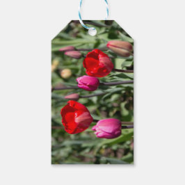 Etiqueta Para Presente Tulipas vermelhas e roxas delicadas 