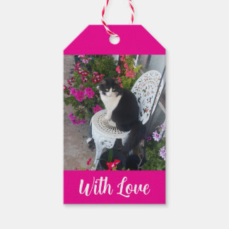 Etiqueta Para Presente Tuxedo Cat Cats and Flowers Girls Name Dark Pink
