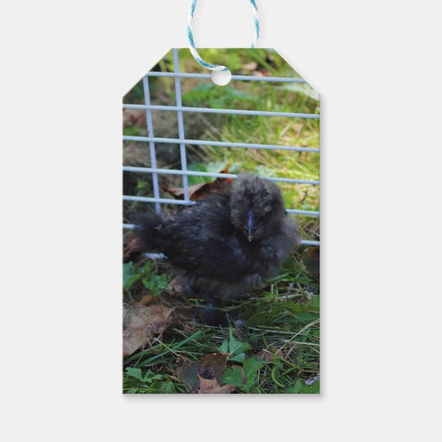 Etiqueta Para Presente Um bebê Silkie (Frente)
