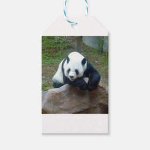 Etiqueta Para Presente Urso de panda chinês