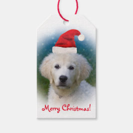 Etiqueta Para Presente Vendedor de Ouros Bonitos Puppy Vestindo Santa Hat