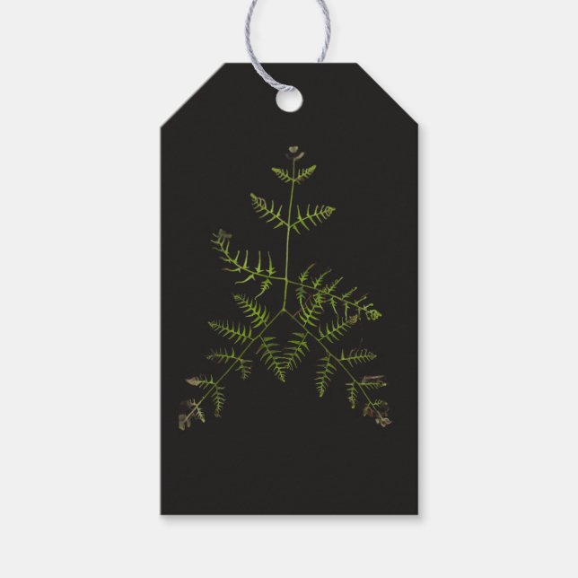 Etiqueta Para Presente verde primavera (Frente)