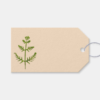 Etiqueta Para Presente verde primavera