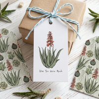 Você Ama Muito a Planta Aloe Vera