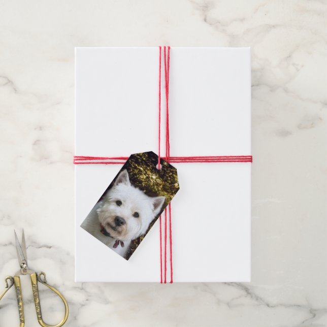 Etiqueta Para Presente Westie Christmas (Com cordão)