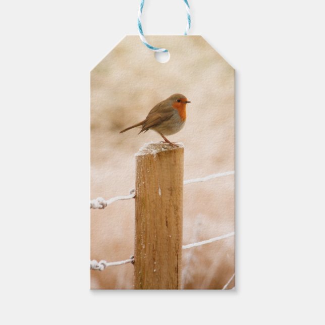 Etiqueta Para Presente Winter Robin Redbreast (Frente)