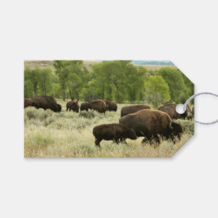 Etiqueta Para Presente Wyoming Bison Nature
