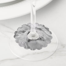 Cão Coton de Tulear