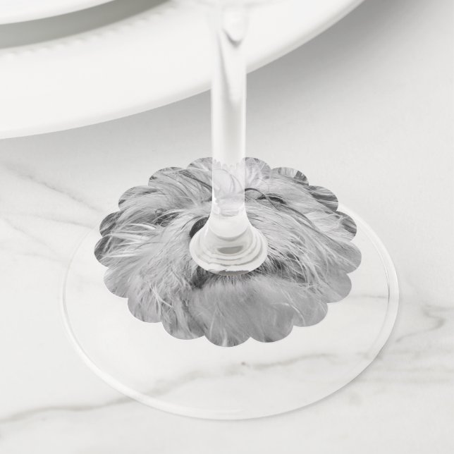 Etiqueta Para Taça De Vinho Cão Coton de Tulear (Close Up)