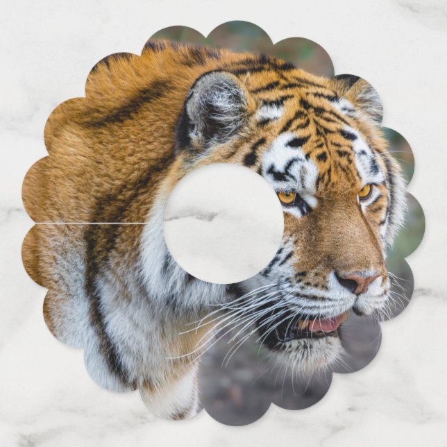 Etiqueta Para Taça De Vinho Tíger Amur (Verso)