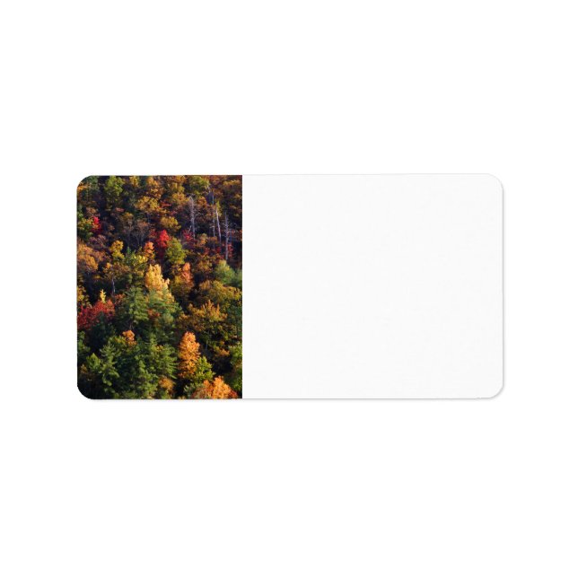 Etiqueta Parque Nacional da Montanha excelente (Frente)