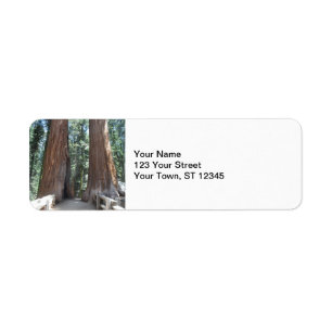 Etiqueta Parque Nacional Sequoia