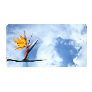 Etiqueta Pássaro da flor de paraíso