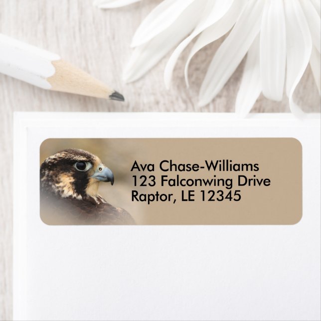 Etiqueta Pássaro Falcão Vignetado Peregrine de Pera (Insitu)