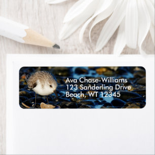 Etiqueta Pássaros-da-praia, que se soltam em Clam, em Praia