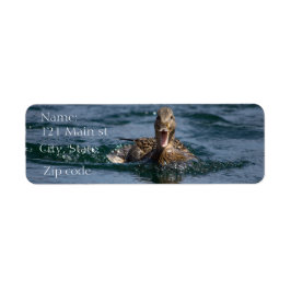 Etiqueta Pato com bico aberto