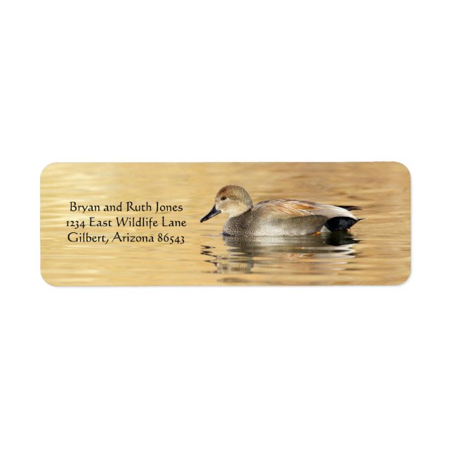 Etiqueta Pato de Gadwall Masculino (Frente)