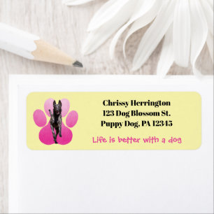 Etiqueta Pawprint Rosa No Cão Amarelo/Malinois Belga