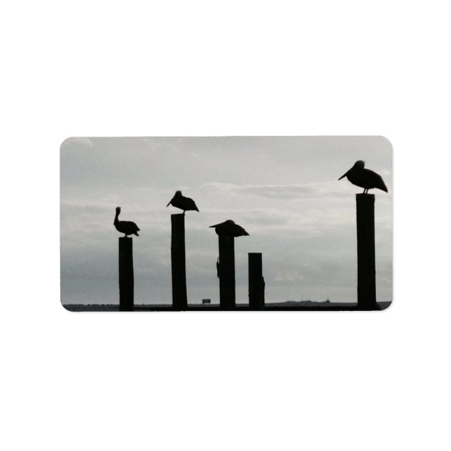 Etiqueta pelicanos no píer (Frente)