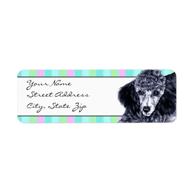 Etiqueta Pencil Poodle (Frente)