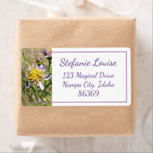 Etiqueta Pequenas margaridas roxas