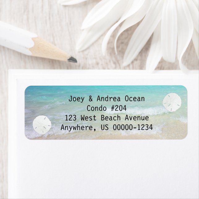 Etiqueta Pequenos Dólares de Areia Fundo Oceânico (Insitu)