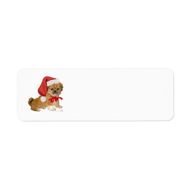 Etiqueta Pequinês Filhote Natal (Frente)