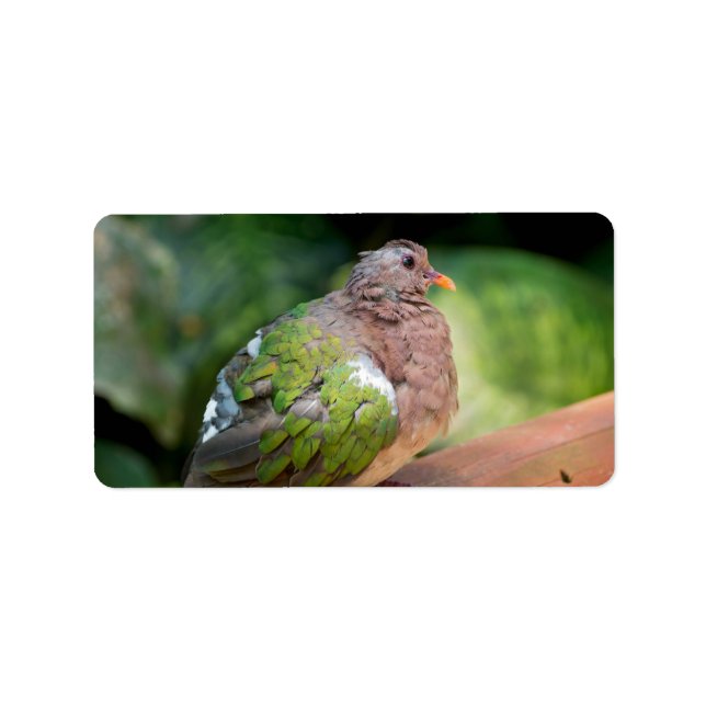 Etiqueta Perfil da porta esmeralda e Perch (Frente)
