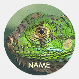 Etiqueta personalizada da iguana