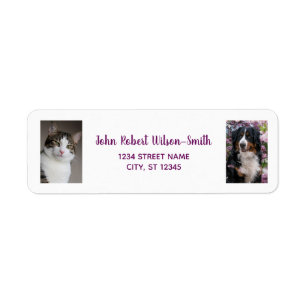Etiqueta Personalizar 2 Fotografias Cat Dog Modern Return A