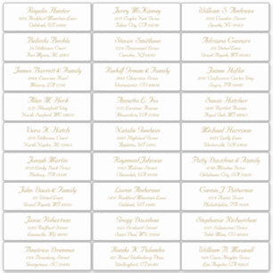 Etiqueta personalizável de etiquetas de endereço d