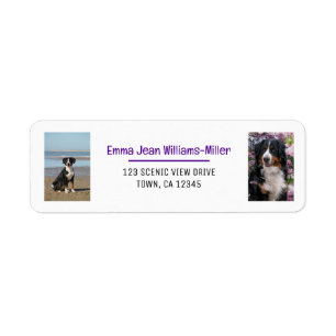 Etiqueta Personalize Fotos com Endereço de Devolução Modern