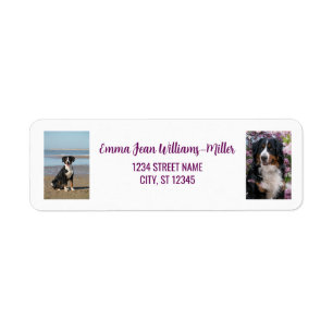 Etiqueta Personalize Fotos com Endereço de Devolução Modern
