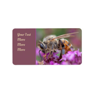 Etiqueta Perspectiva Microscópica: A Abelha De Ensino