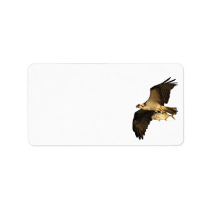 Etiqueta Pesca do Osprey