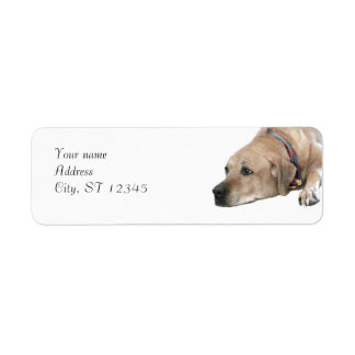 Etiqueta Pet Ridgeback Dog Picture