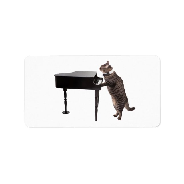 Etiqueta Piano de Reprodução de Gato (Frente)