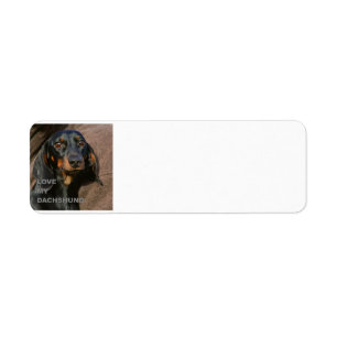 Etiqueta PIC dachshund-preto e tan de w do amor