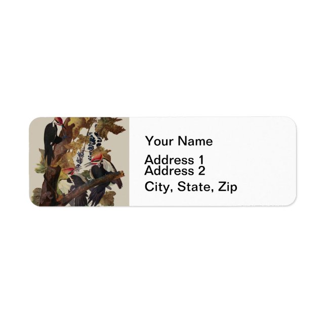 Etiqueta Pica-Pica-Pica-Pica Audubon Pileada (Frente)